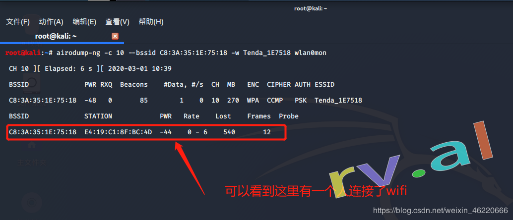 实战 kali linux 破解wifi密码 全网最详细的教程 保姆级的WiFi密码教程